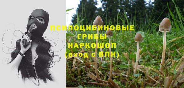 каннабис Баксан
