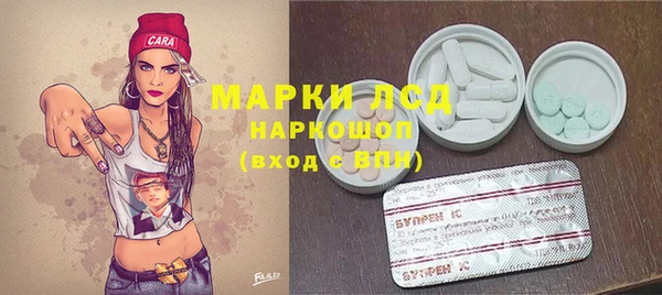 стафф Дубна