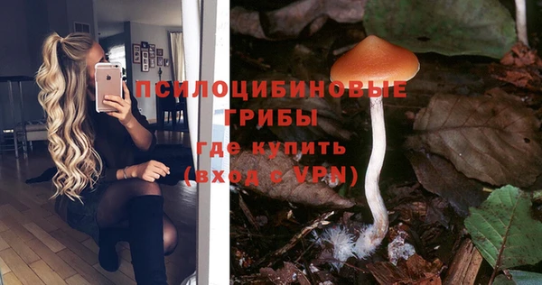 каннабис Баксан